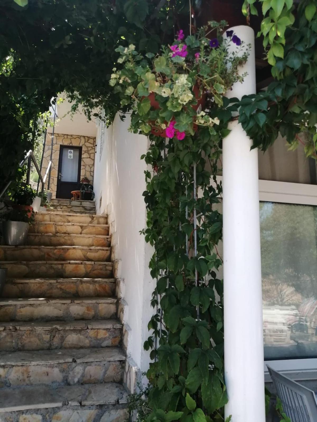 Appartement Mala Basina -Maslina à Vrbanj Extérieur photo